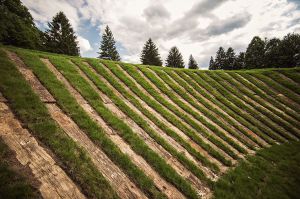 Shepherds Rock Railroad Ties